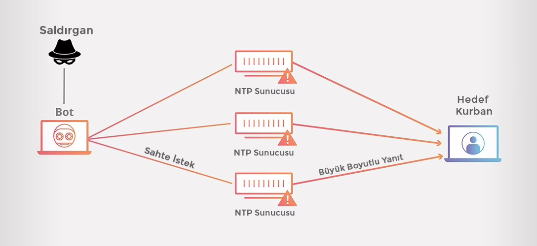 ntpamp 2